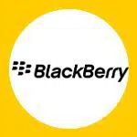 باتری اصلی BlackBerry
